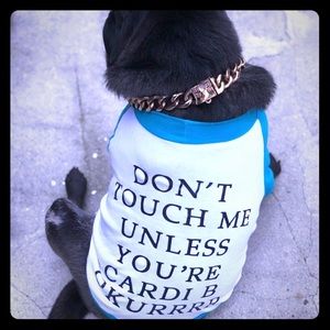 Meet your Posher, Dani